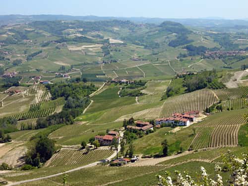 Rebberge und Gehöfte in den Langhe