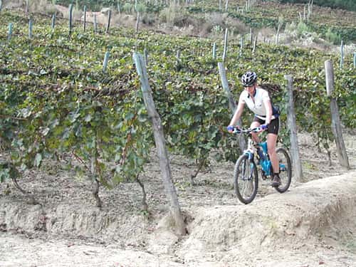 Velofahren
